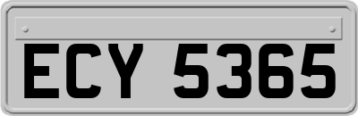 ECY5365