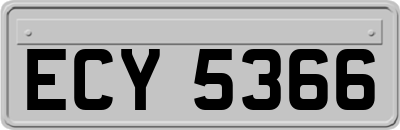 ECY5366