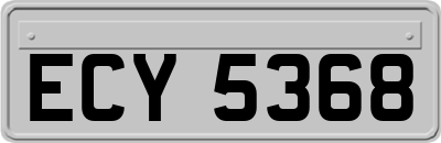 ECY5368