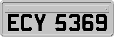 ECY5369
