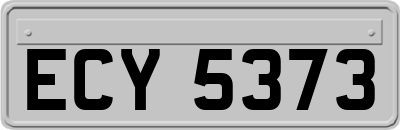 ECY5373