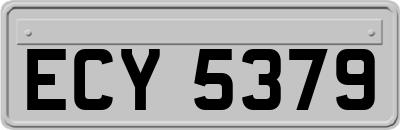 ECY5379
