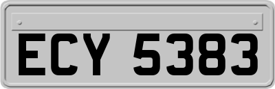 ECY5383