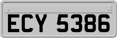 ECY5386