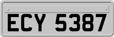 ECY5387