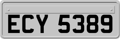 ECY5389