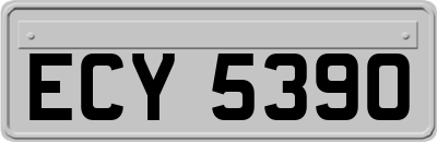 ECY5390