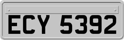 ECY5392