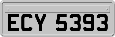 ECY5393