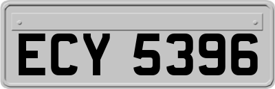 ECY5396