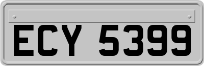 ECY5399