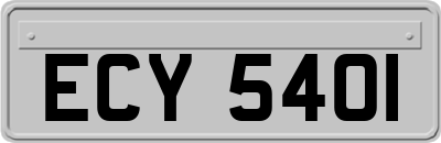 ECY5401