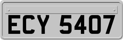 ECY5407