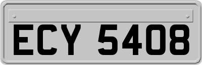 ECY5408