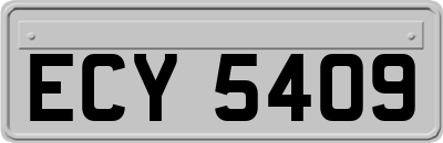 ECY5409