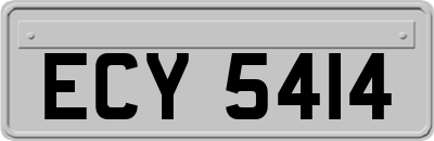 ECY5414