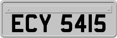 ECY5415