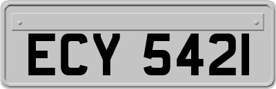 ECY5421