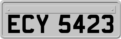 ECY5423