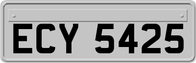 ECY5425