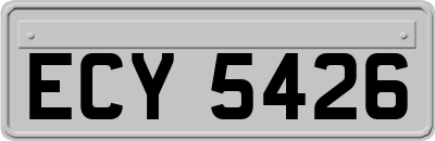 ECY5426