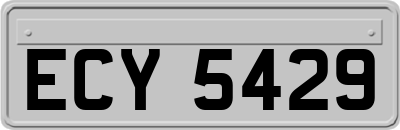 ECY5429