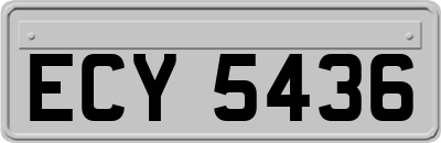 ECY5436