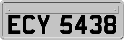ECY5438