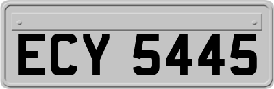 ECY5445