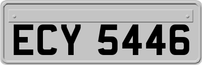 ECY5446