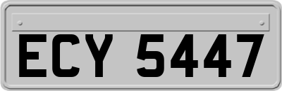 ECY5447