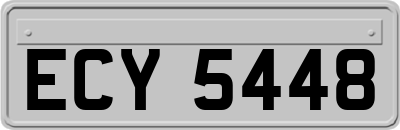 ECY5448