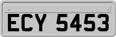 ECY5453