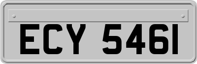 ECY5461
