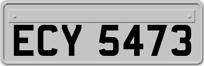 ECY5473