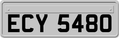 ECY5480