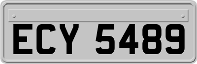 ECY5489
