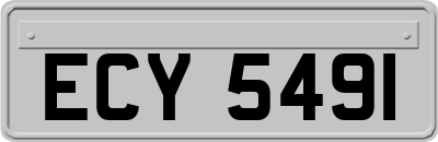 ECY5491