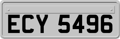 ECY5496