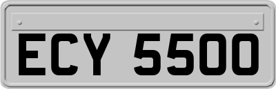 ECY5500