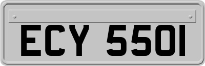 ECY5501