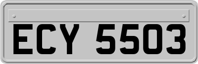ECY5503