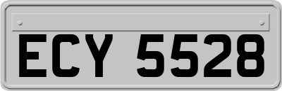 ECY5528