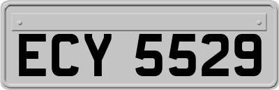 ECY5529