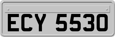 ECY5530