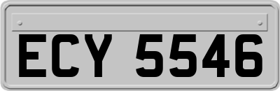 ECY5546