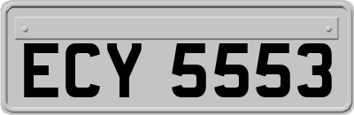 ECY5553
