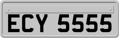 ECY5555