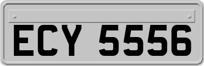 ECY5556
