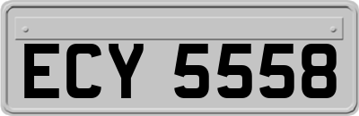 ECY5558
